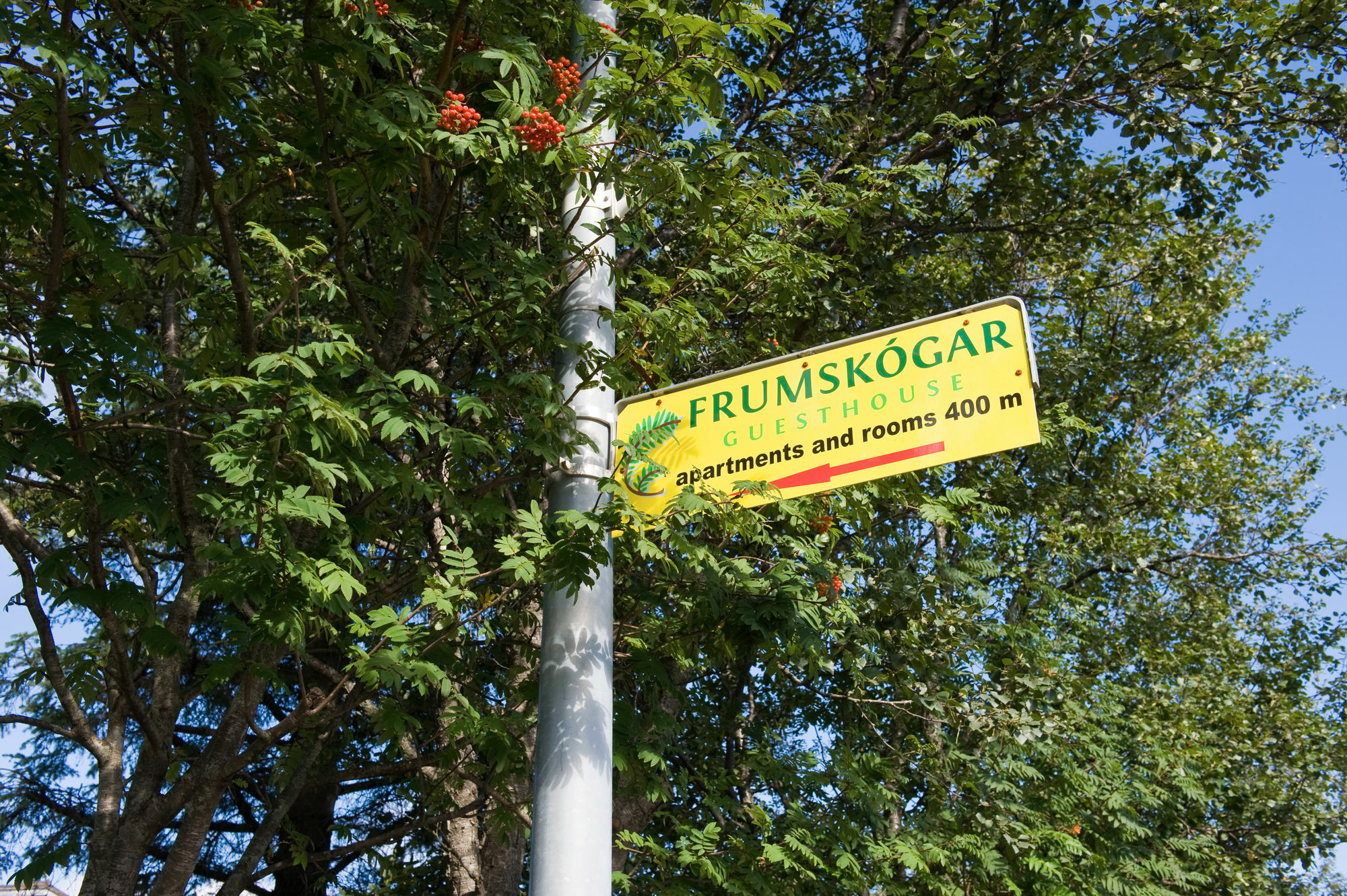 Frumskogar Guesthouse & Apartments 크베라게르디 외부 사진